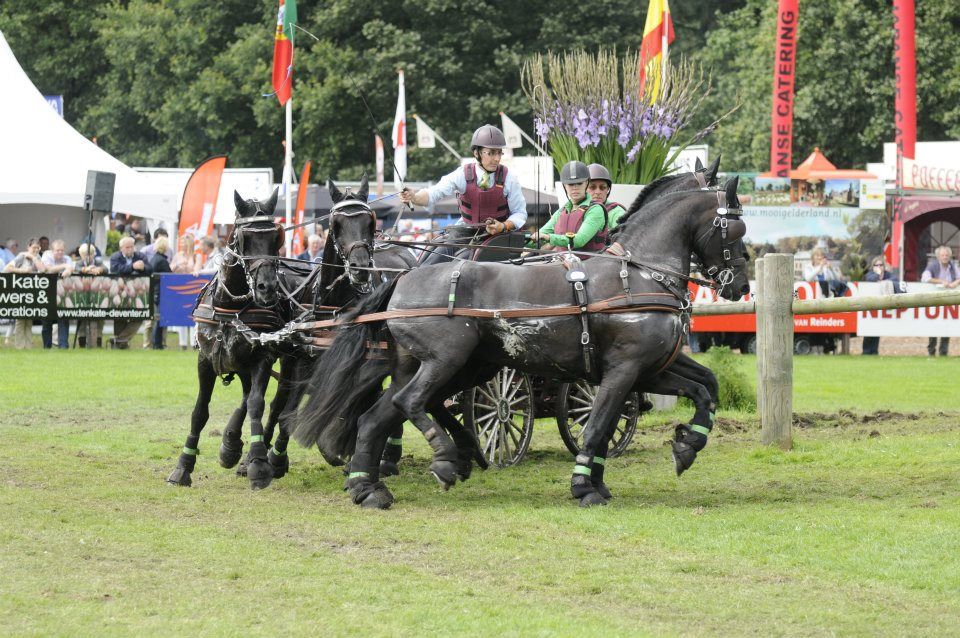 Arabofriesen Team Stuyck